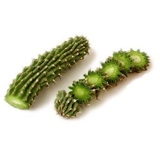 Hoodia Gordonia - Composizione Reduslim