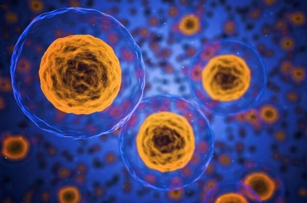 Come funziona il processo di perdita di peso